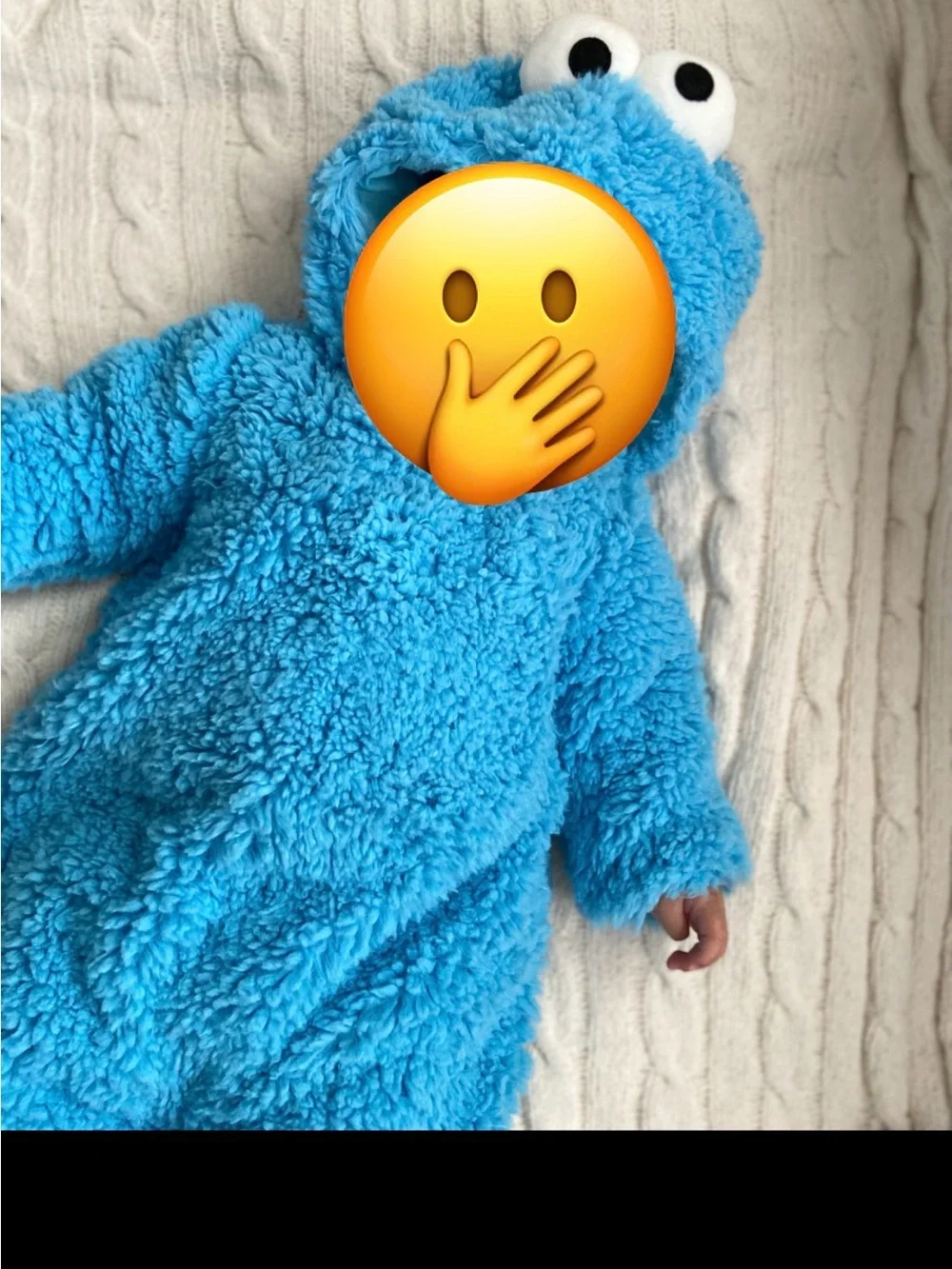 Pottery Barn Kids Blue Plush Hooded Cookie Character Costume
